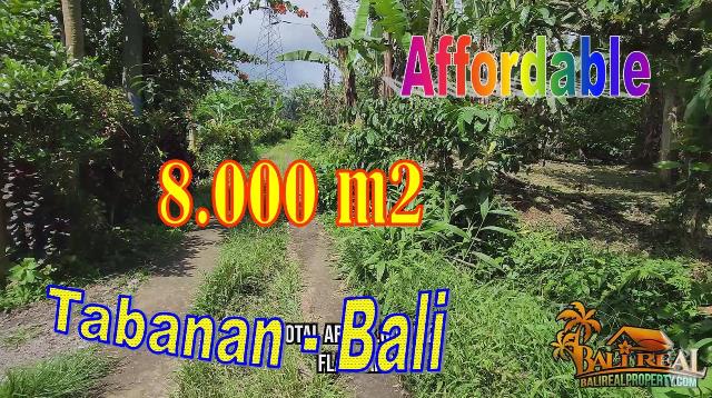 Cheap property 8,000 m2 LAND FOR SALE IN TABANAN TJTB727