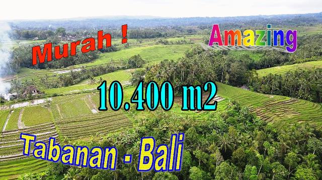 Beautiful 10,400 m2 LAND SALE IN Selemadeg Tabanan BALI TJTB728