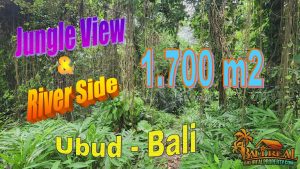 1,700 m2 LAND for SALE in Sukawati Ubud BALI TJUB856