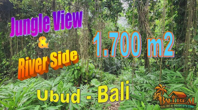 1,700 m2 LAND for SALE in Sukawati Ubud BALI TJUB856