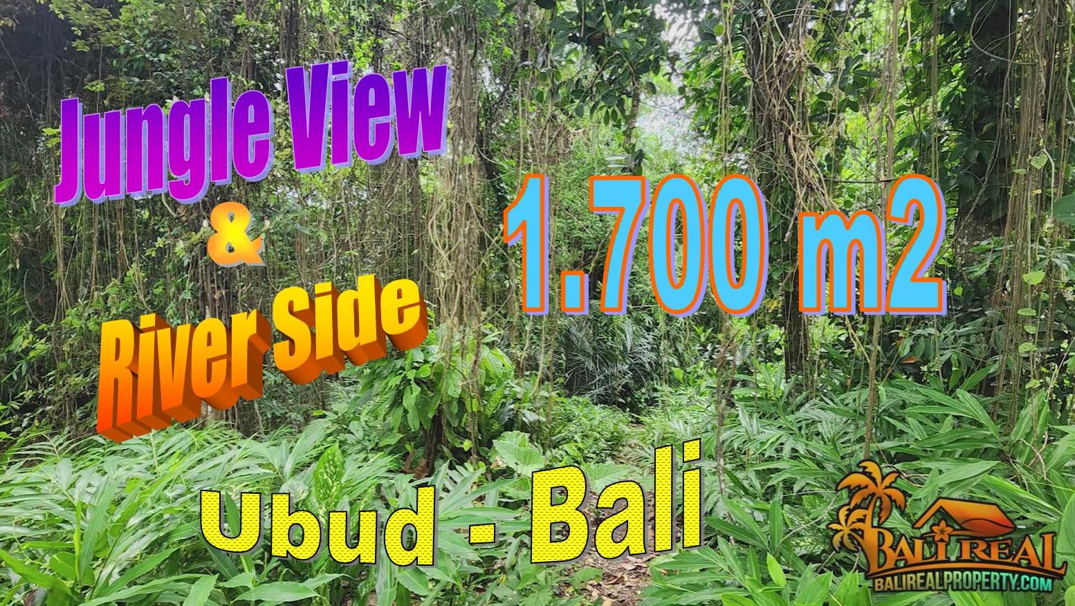 FOR SALE Beautiful PROPERTY LAND in Sukawati Ubud TJUB856