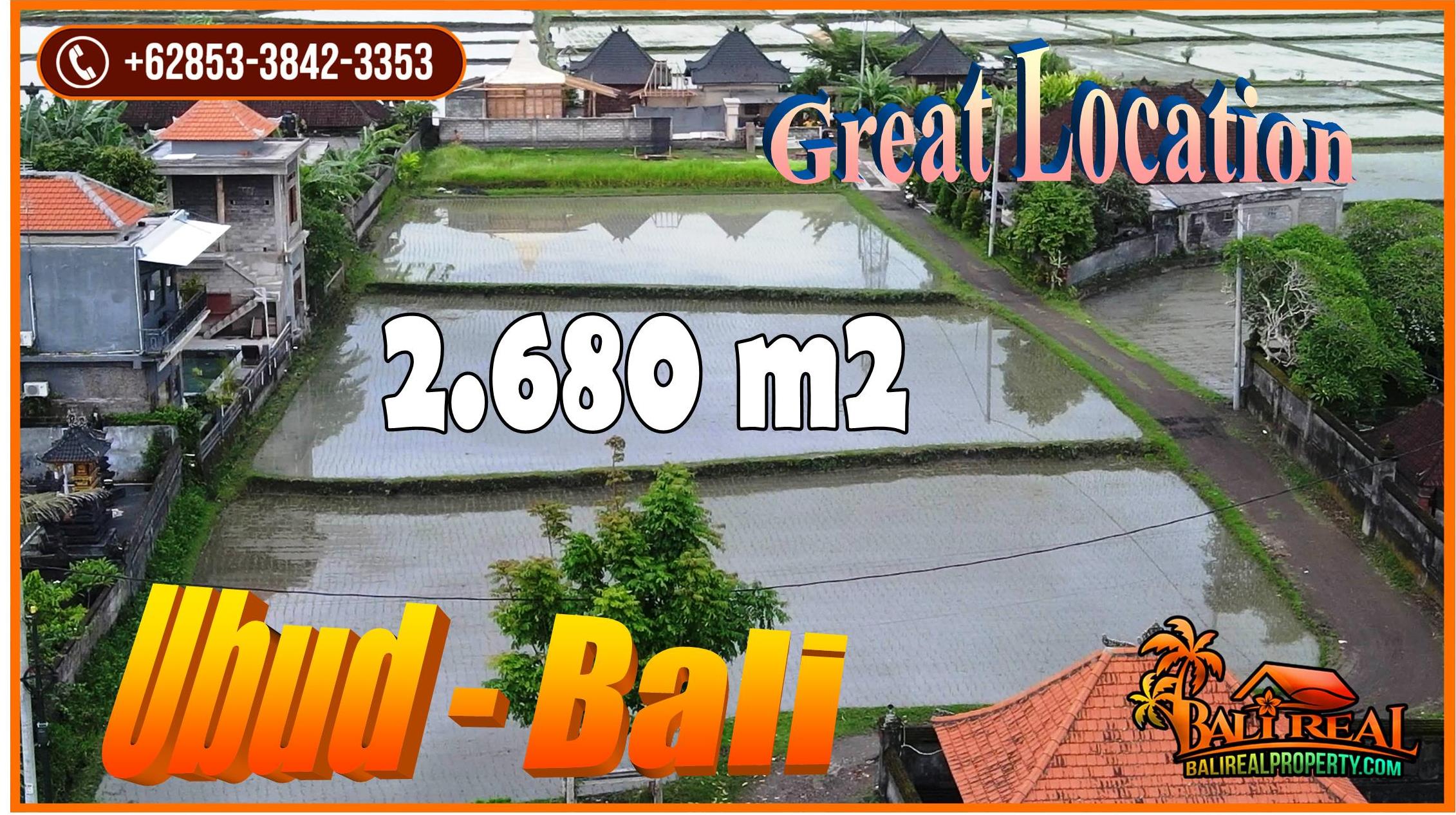 Cheap property LAND in Ubud for SALE TJUB855