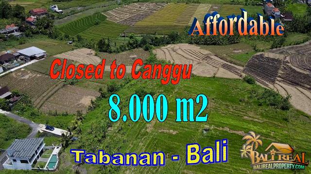 Beautiful PROPERTY LAND IN Kediri, Tabanan BALI FOR SALE TJTB734