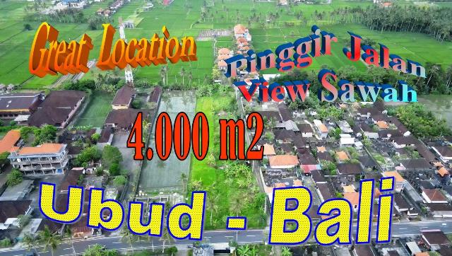 Exotic LAND in Sukawati Ubud for SALE TJUB862