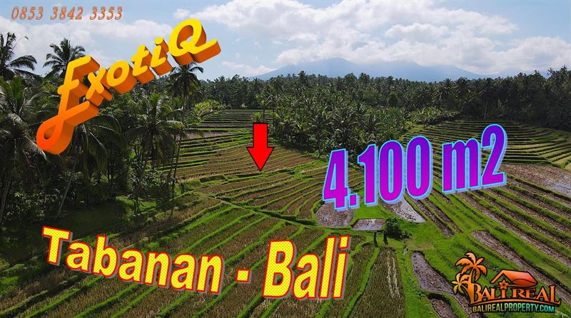 Magnificent Penebel Tabanan LAND FOR SALE TJTB744
