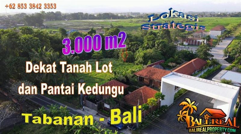 FOR SALE Magnificent LAND IN TABANAN BALI TJTB746
