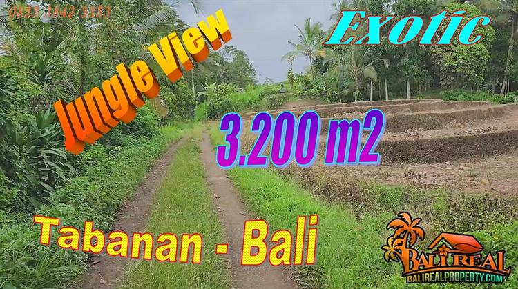 Affordable LAND SALE IN TABANAN BALI TJTB720