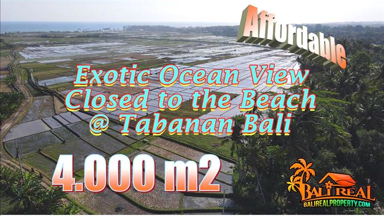 Exotic PROPERTY TABANAN 4,000 m2 LAND FOR SALE TJTB762