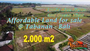 Exotic LAND FOR SALE IN Kerambitan, Tabanan TJTB769
