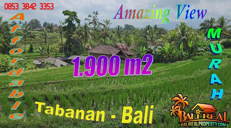 Magnificent LAND IN Penebel, Tabanan FOR SALE TJTB771
