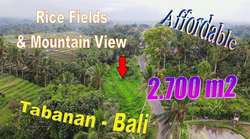 Magnificent LAND FOR SALE IN Penebel, Tabanan TJTB773