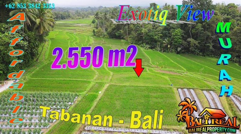 FOR SALE Affordable PROPERTY 2,550 m2 LAND IN Penebel Tabanan BALI TJTB778