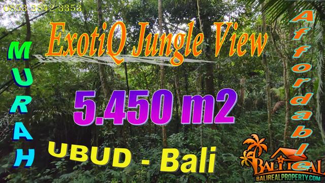 FOR SALE Affordable 5,450 m2 LAND in Ubud Tampaksiring TJUB869