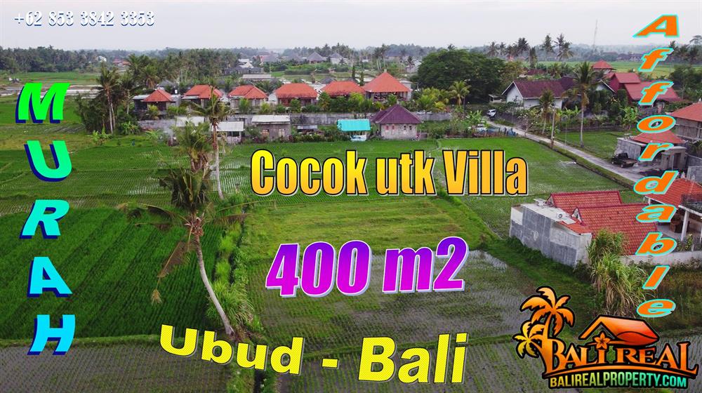 FOR SALE Cheap property 400 m2 LAND in Sukawati Ubud BALI TJUB875