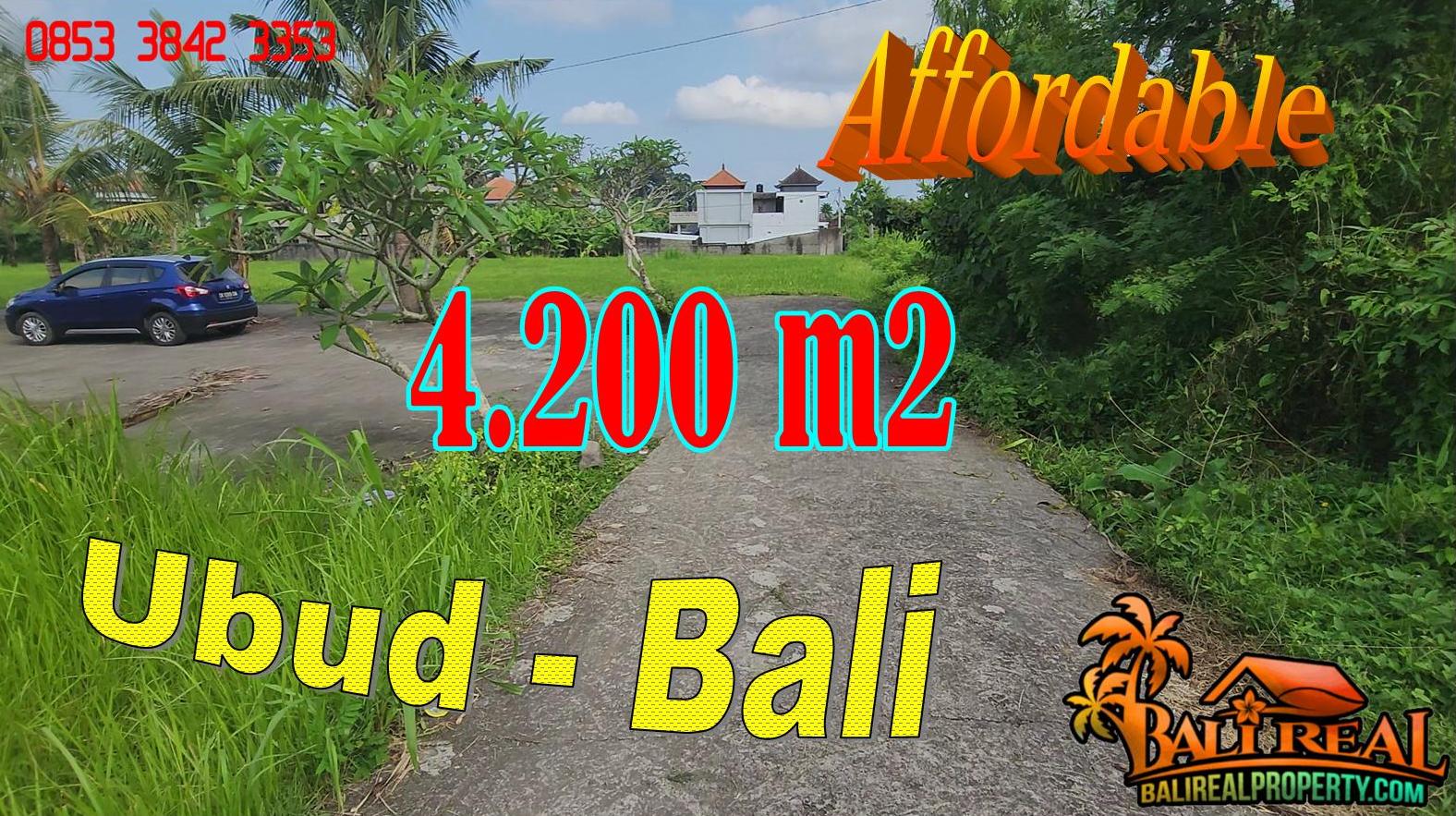 Beautiful 4,300 m2 LAND in UBUD for SALE TJUB868