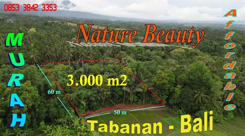 Beautiful LAND SALE IN Penebel Tabanan TJTB794