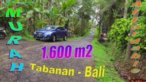 FOR SALE Exotic 1,600 m2 LAND IN Penebel Tabanan BALI TJTB780