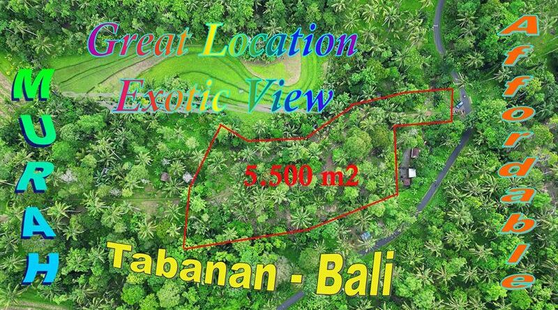 5,500 m2 LAND FOR SALE IN Penebel Tabanan BALI TJTB792