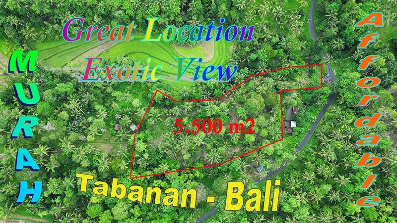 FOR SALE Beautiful PROPERTY LAND IN Penebel Tabanan TJTB792