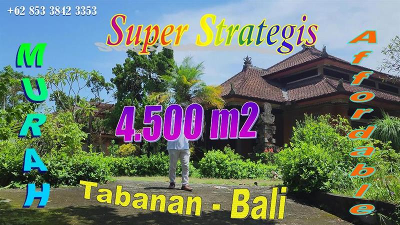 Affordable TABANAN BALI LAND FOR SALE TJTB820