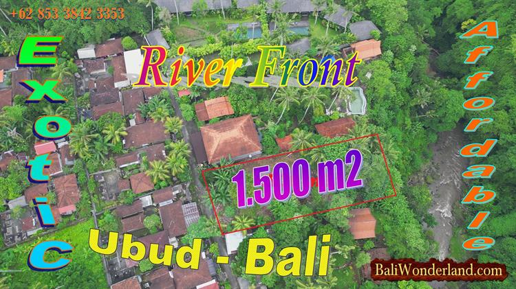 Magnificent LAND for SALE in Sukawati Ubud BALI TJUB880