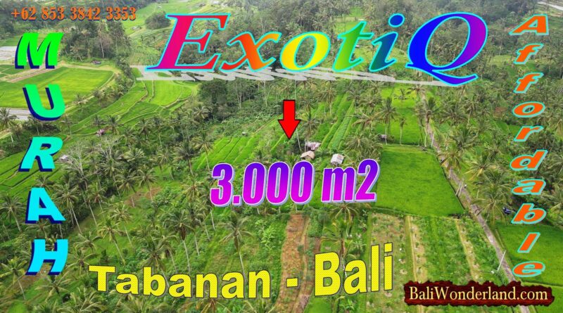 Magnificent Baturiti Tabanan BALI 3,000 m2 LAND FOR SALE TJTB824
