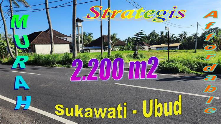 Property Investment Opportunities in Bali! Cheap land for sale in Sukawati near Ubud TJUB881