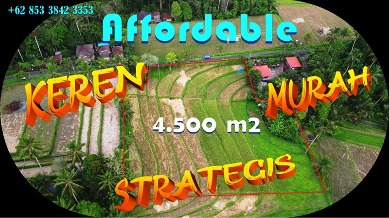 Affordable PROPERTY LAND IN Penebel Tabanan BALI FOR SALE TJTB785