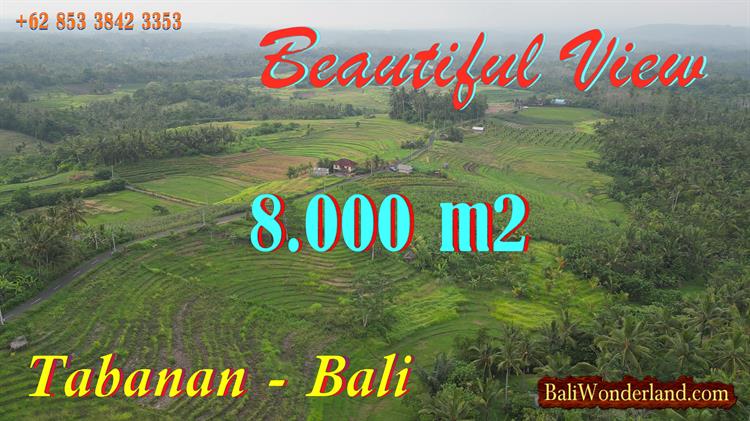 Magnificent PROPERTY 8,000 m2 LAND FOR SALE IN TABANAN TJTB808