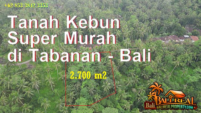 FOR SALE Beautiful PROPERTY LAND IN Penebel Tabanan BALI TJTB826