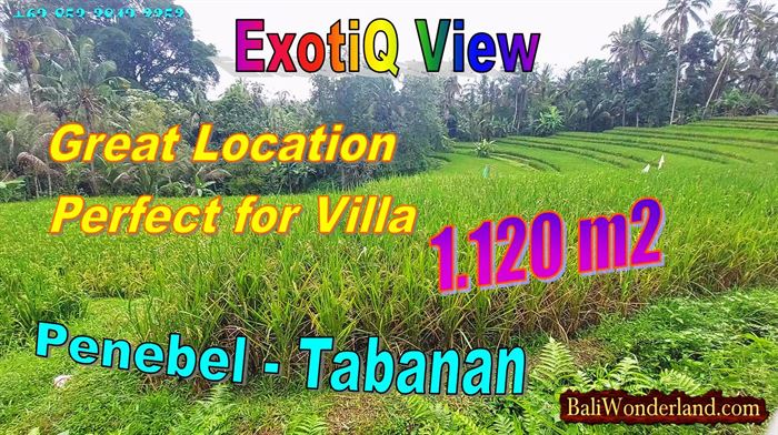 FOR SALE Affordable LAND IN TABANAN BALI TJTB829