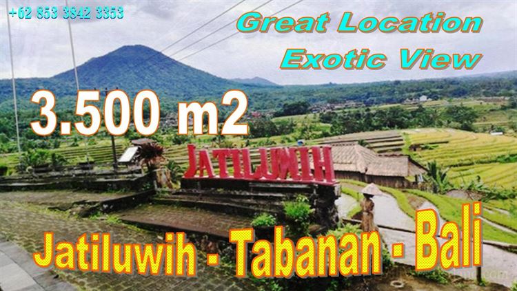 Magnificent PROPERTY Penebel Tabanan LAND FOR SALE TJTB832