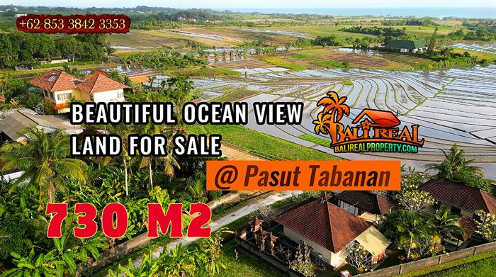 Magnificent 730 m2 LAND IN Kerambitan Tabanan BALI FOR SALE TJTB825