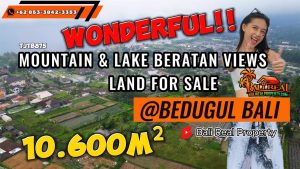 Magnificent 10,600 m2 LAND IN Baturiti Tabanan BALI FOR SALE TJTB875