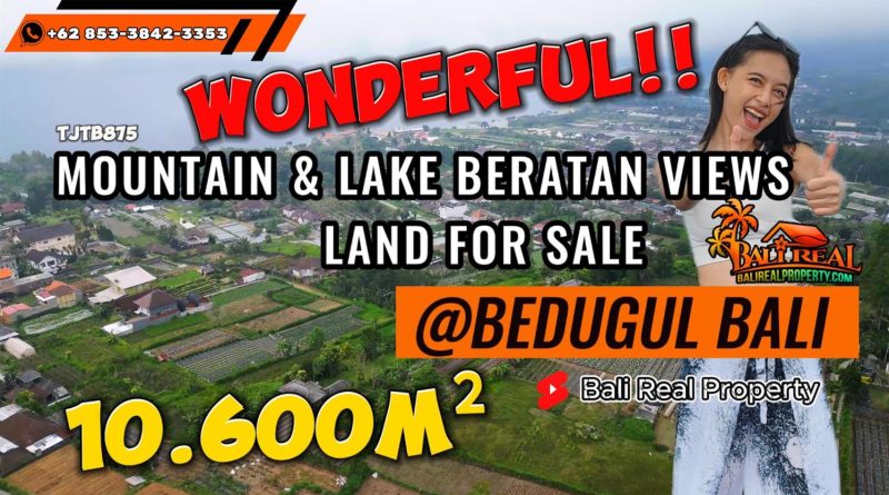 Magnificent 10,600 m2 LAND IN Baturiti Tabanan BALI FOR SALE TJTB875